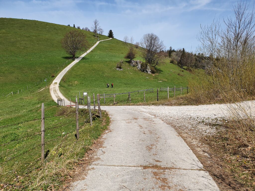 Erlbergkopf Abzweigung Rückweg