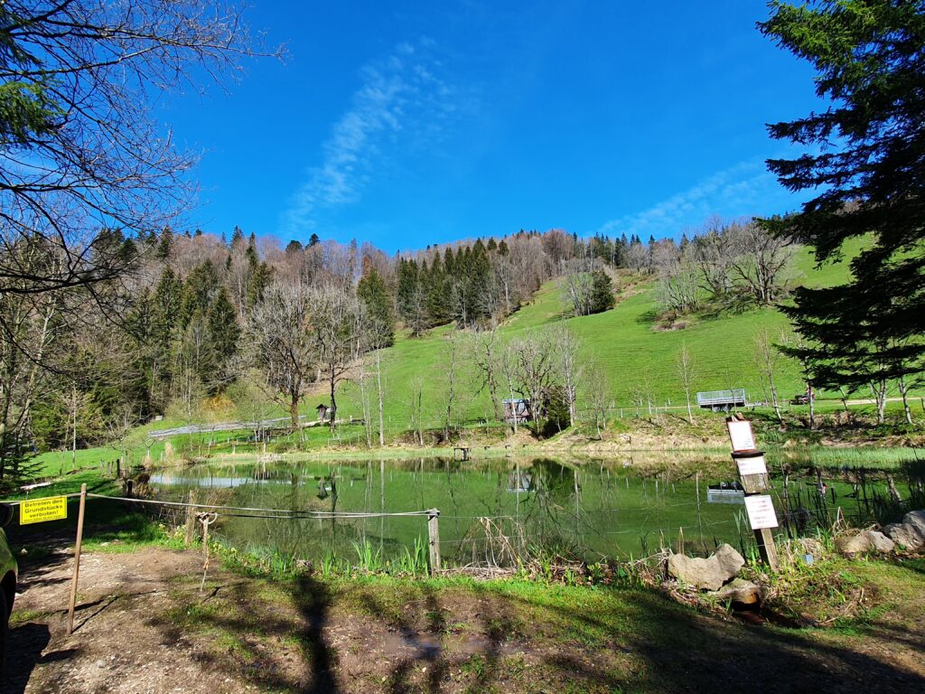 Fischweiher bei Adersberg